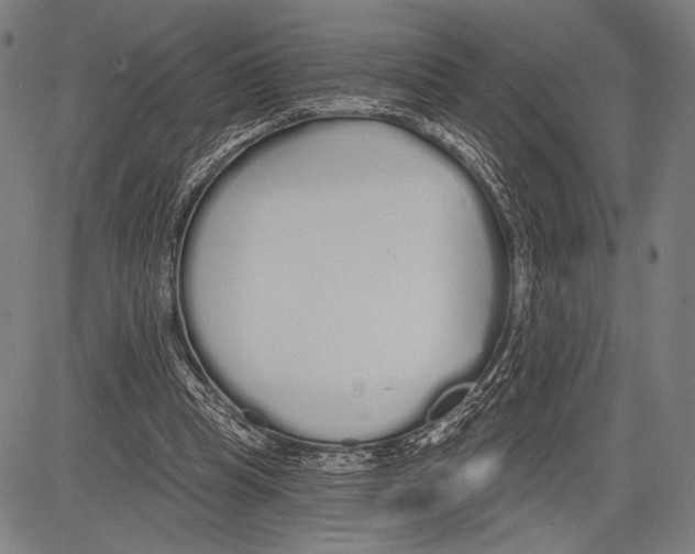 X0000081600345200702121555