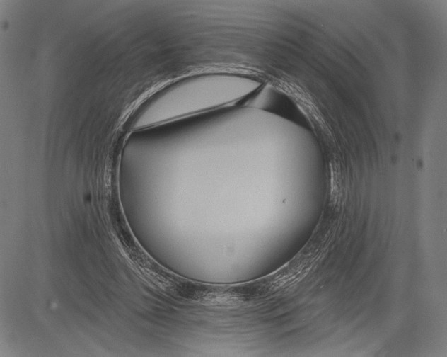 X0000081600348200702121555