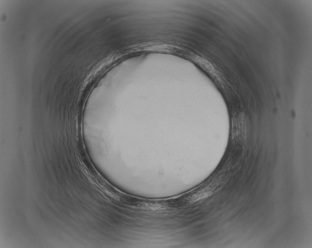 X0000081600349200702121555