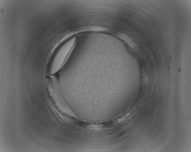 X0000081600350200702121555