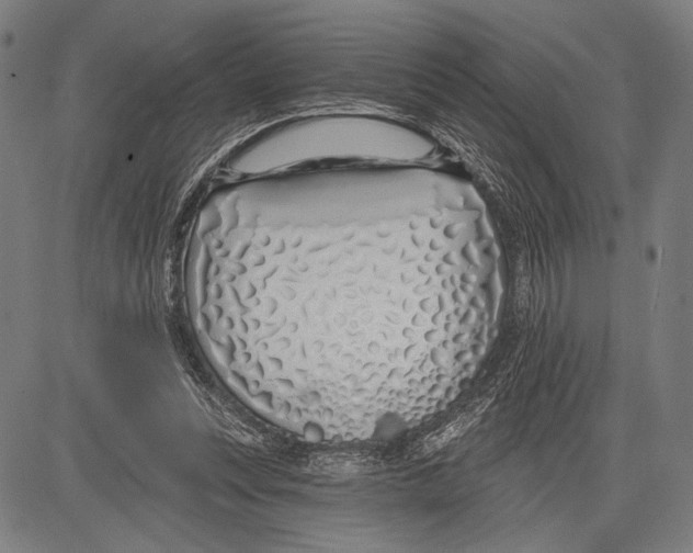 X0000081600351200702121555