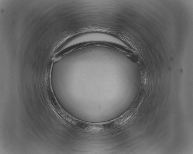 X0000081600352200702121555