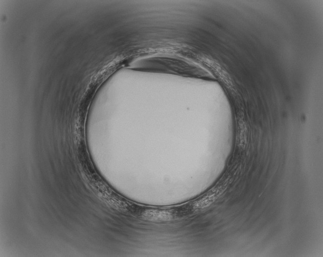 X0000081600354200702121555