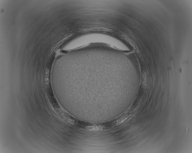 X0000081600356200702121555