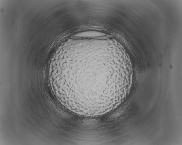 X0000081600357200702121555