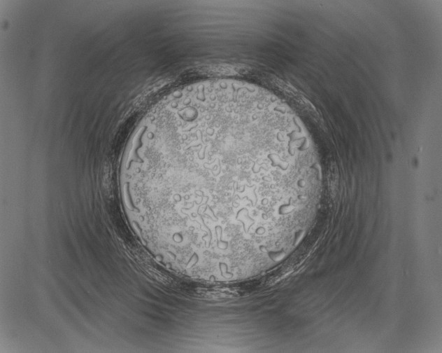 X0000081600359200702121555