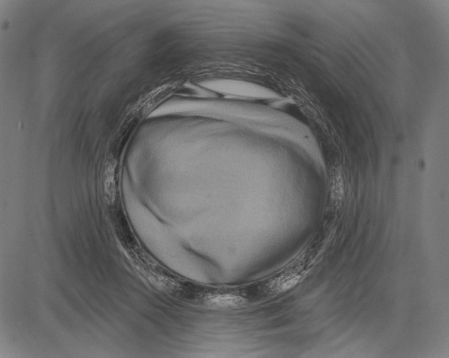 X0000081600360200702121555