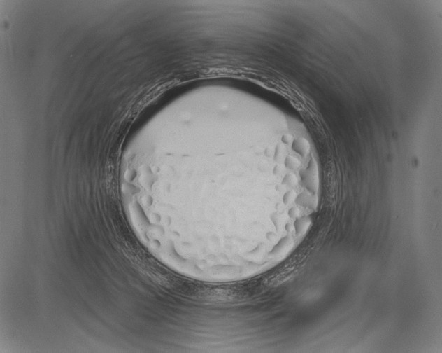 X0000081600361200702121555