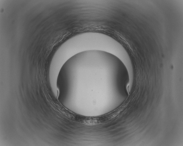 X0000081600362200702121555