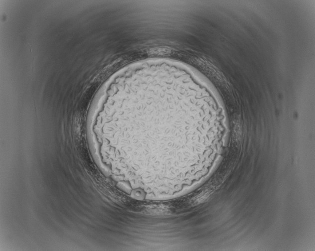 X0000081600363200702121555