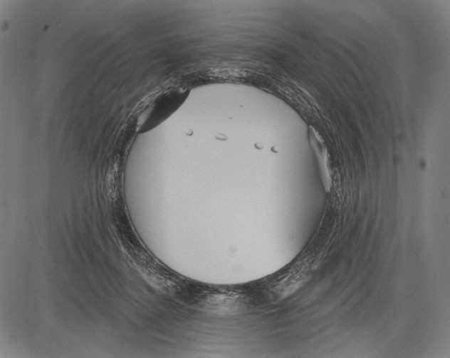 X0000081600364200702121555