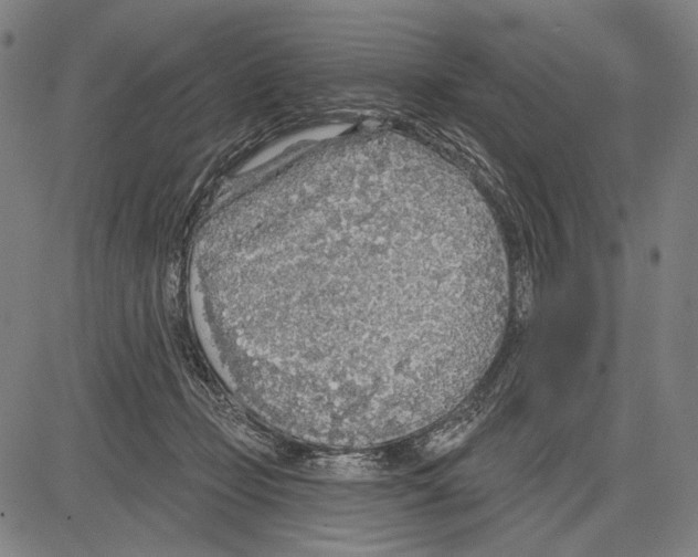 X0000081600365200702121555