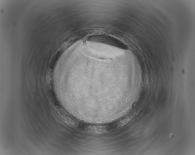 X0000081600367200702121555