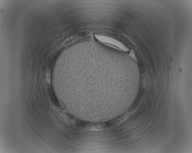 X0000081600368200702121555