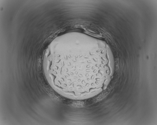 X0000081600369200702121555