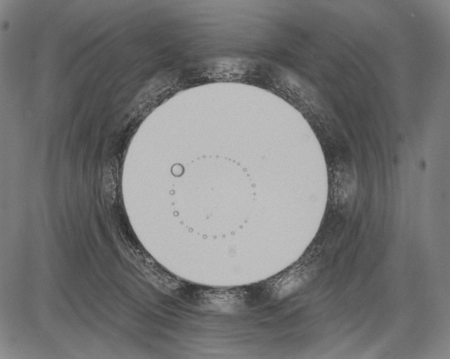 X0000081600370200702121555