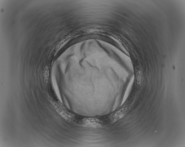 X0000081600372200702121555