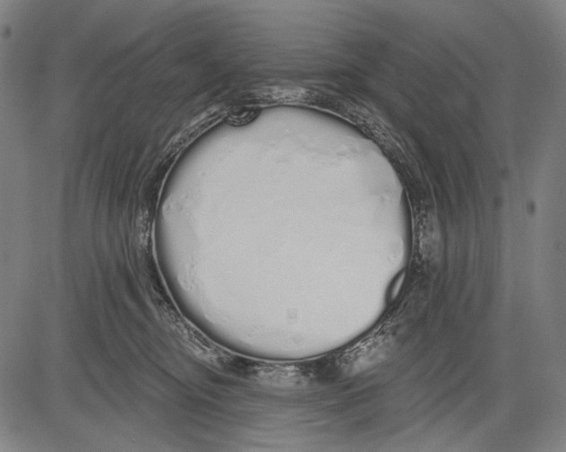 X0000081600374200702121555