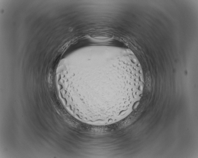 X0000081600375200702121555