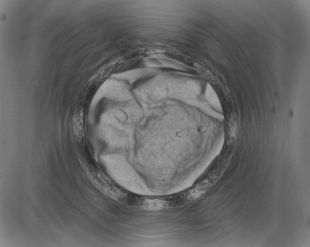 X0000081600376200702121555