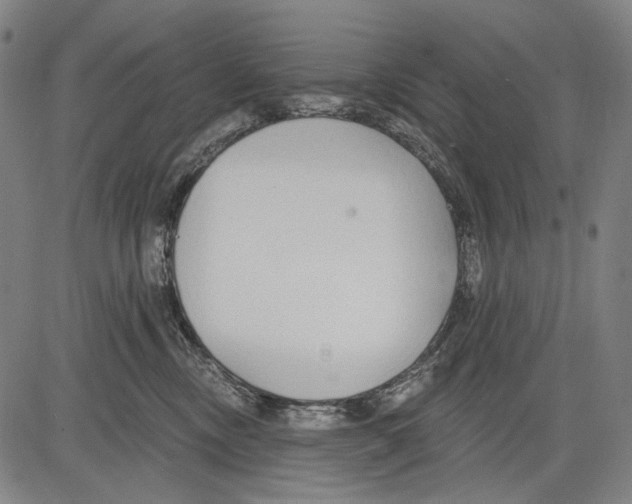 X0000081600378200702121555