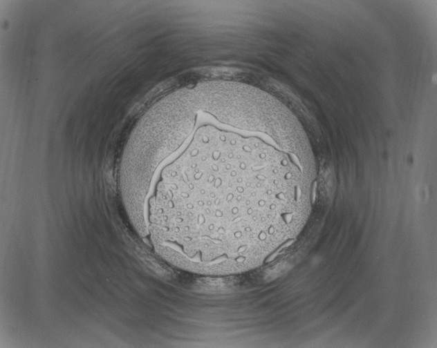 X0000081600381200702121555