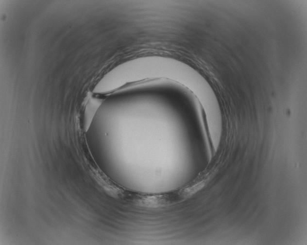 X0000081600382200702121555