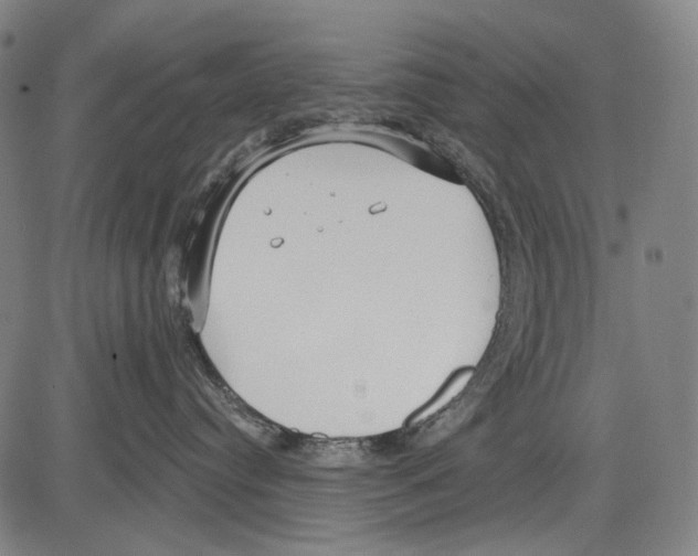 X0000081600384200702121555