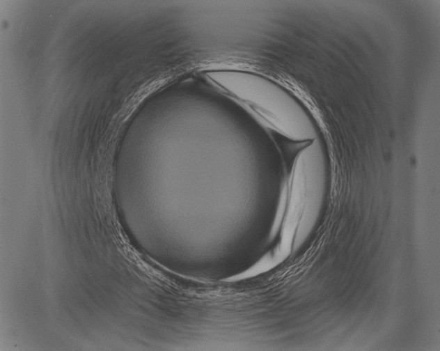 X0000081600385200702121555