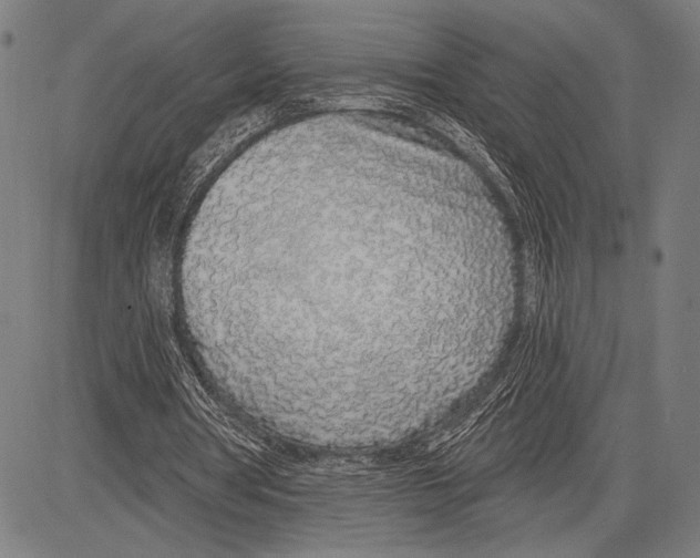 X0000081600386200702121555