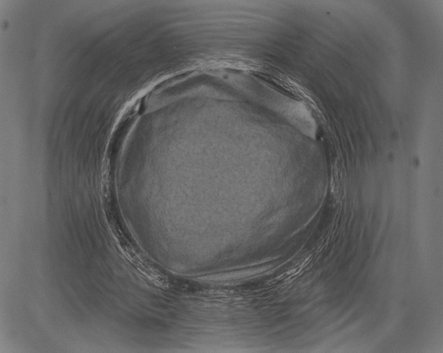 X0000081600388200702121555