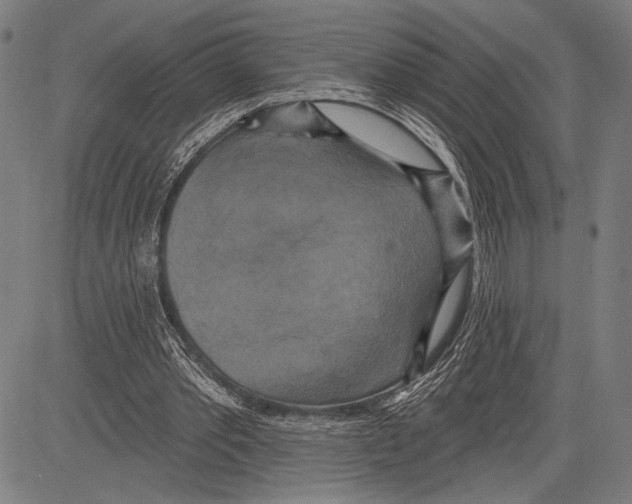 X0000081600389200702121555