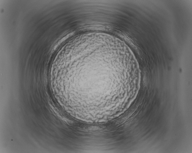 X0000081600390200702121554