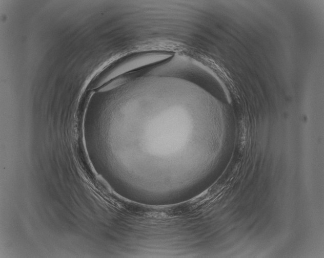 X0000081600392200702121554