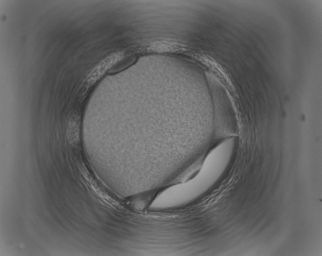 X0000081600393200702121554