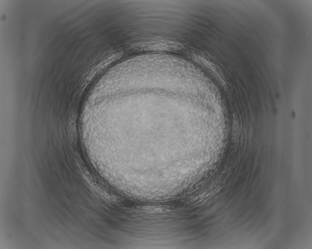 X0000081600394200702121554