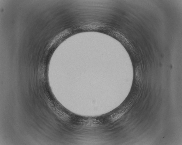 X0000081600396200702121554