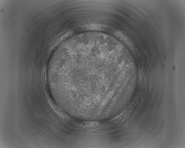 X0000081600398200702121554