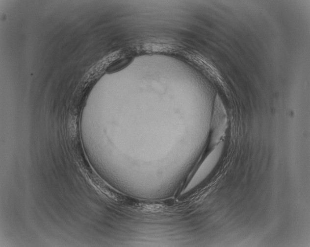 X0000081600401200702121554