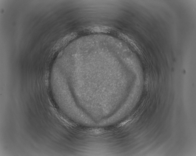 X0000081600402200702121554