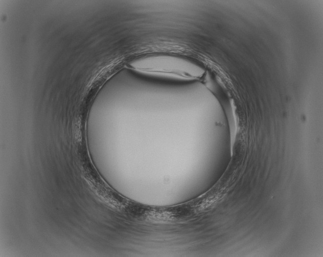 X0000081600403200702121554