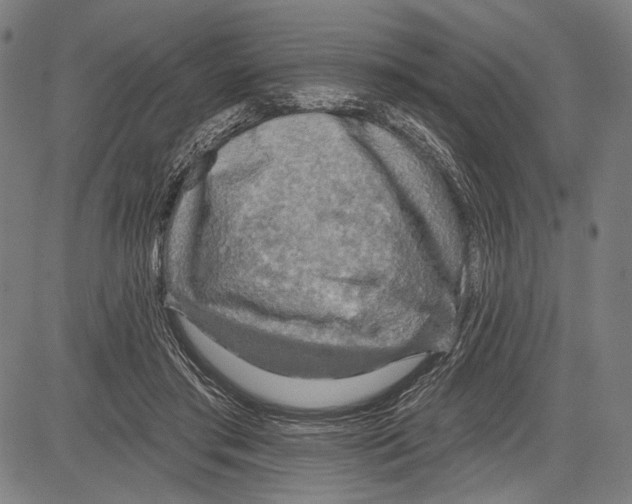 X0000081600405200702121554