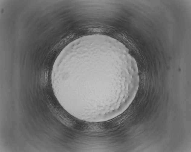 X0000081600406200702121554