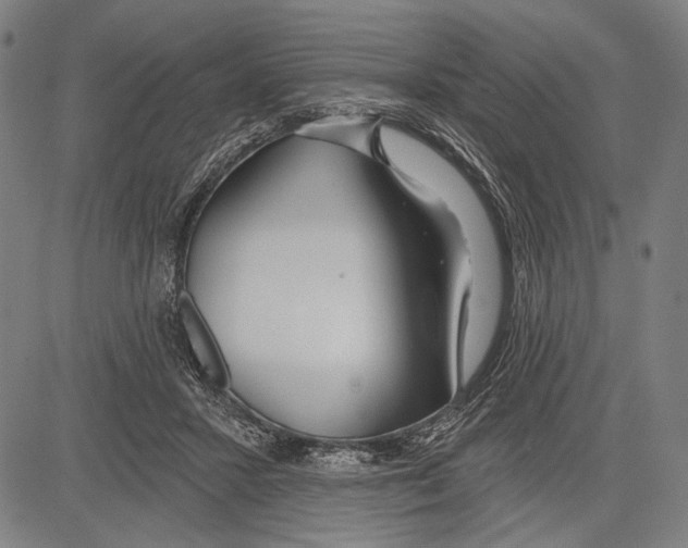 X0000081600407200702121554