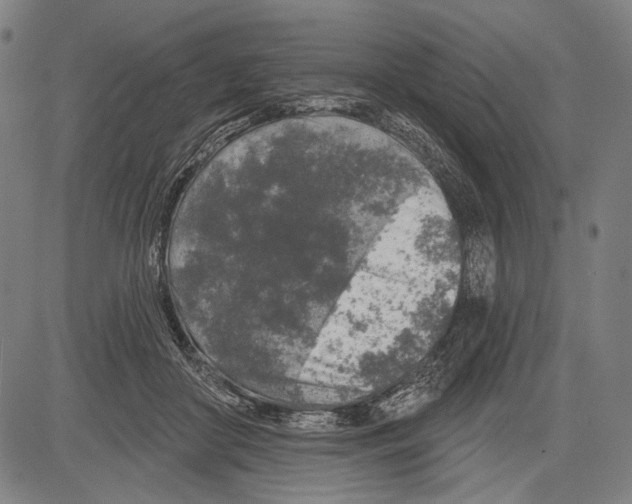 X0000081600410200702121554