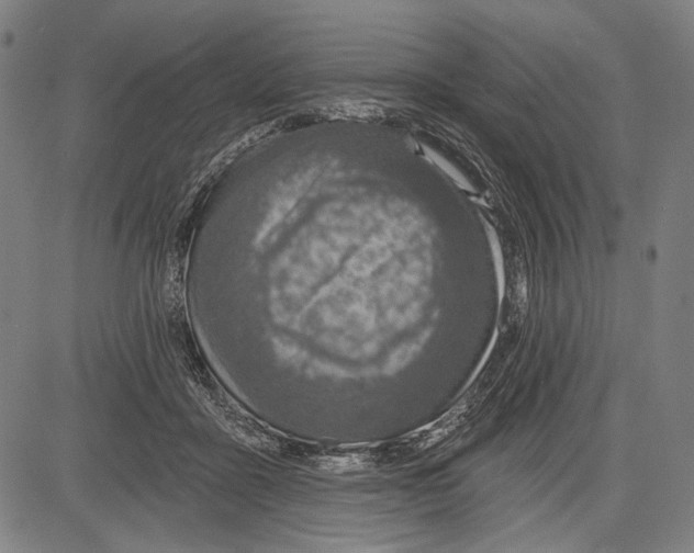 X0000081600411200702121554