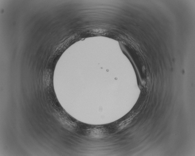 X0000081600412200702121554