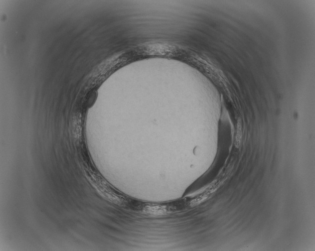 X0000081600413200702121554