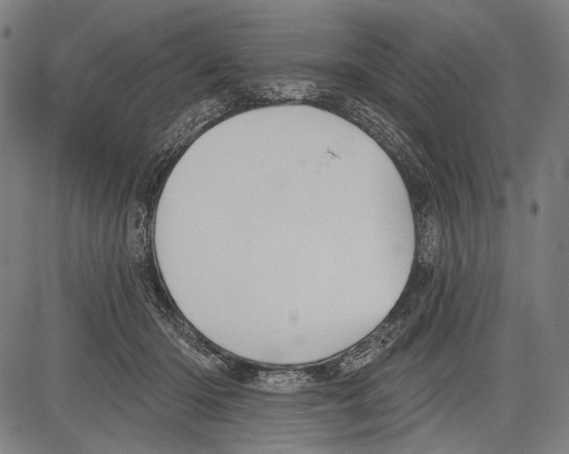 X0000081600414200702121554