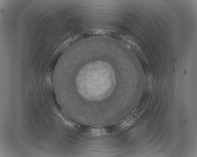 X0000081600415200702121554